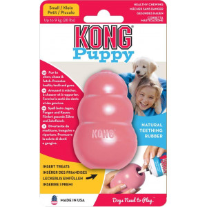 Kong Puppy