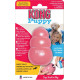 Kong Puppy