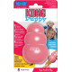 Kong Puppy