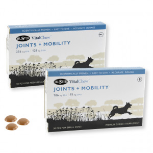 VitalChew Buster Joints & Mobility voor de hond Medium/Large 2 x 30 stuks