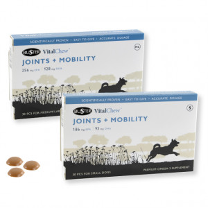 Afbeelding Buster VitalChew Joints & Mobility - S - 30 stuks door Brekz.nl