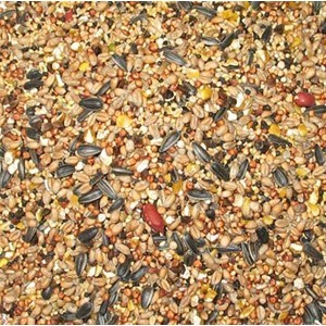 Vogel Vogelvoer Brekz Huismerk Strooivoer voor vogels 2 x 25 kg