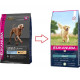 Eukanuba Adult Large Breed lam & rijst hondenvoer