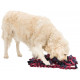 Trixie Activity Snuffelmat voor honden en katten