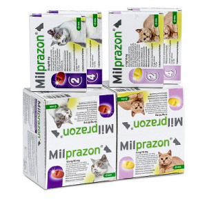 Afbeelding Milprazon Ontwormingsmiddel kat en kitten (0,5 - 2 kg) 48 Tabletten door Brekz.nl