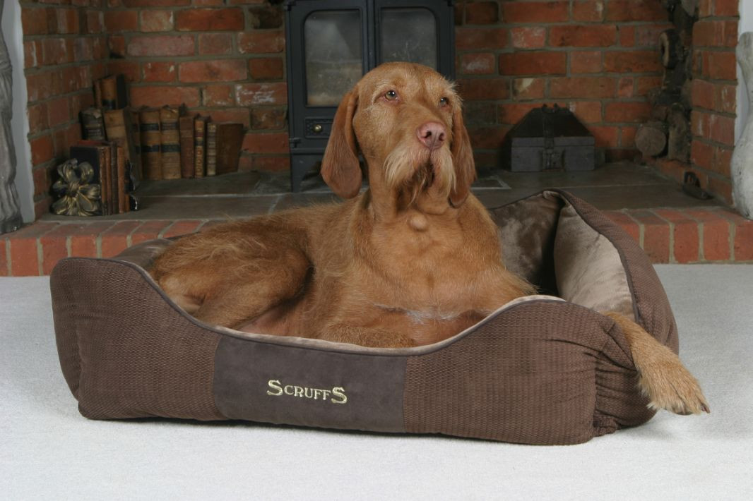 Scruffs Chester Box Bed hondenmand Chocolate