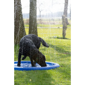 Afbeelding CoolPets Splash Pool Sproeier door Brekz.nl