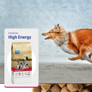 Carocroc High Energy (28/20) Hondenvoer