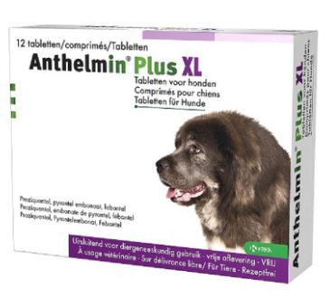 Anthelmin Plus XL voor honden