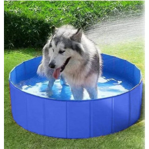 Zwembad  met afdekhoes voor de hond