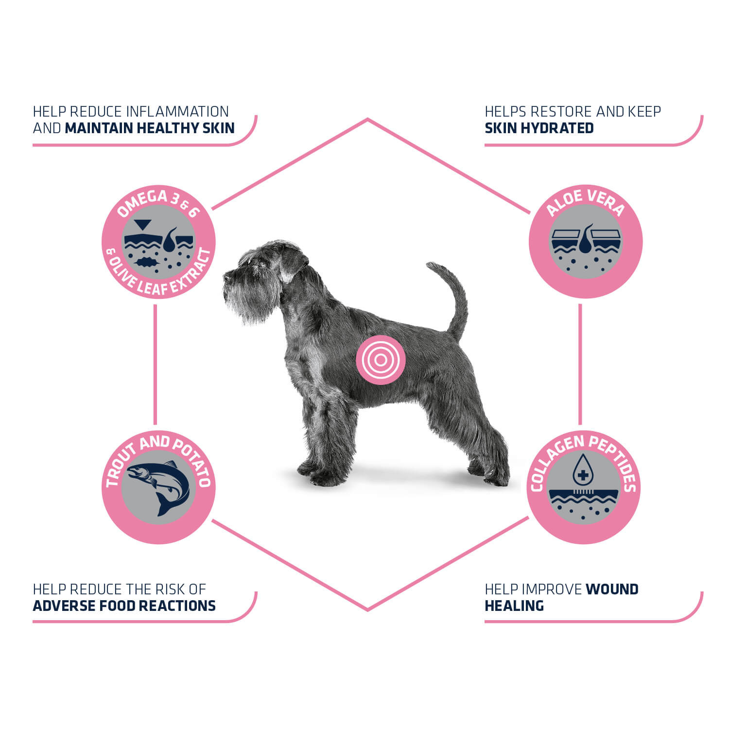 Advance Veterinary Diets Atopic Medium Maxi met forel hondenvoer