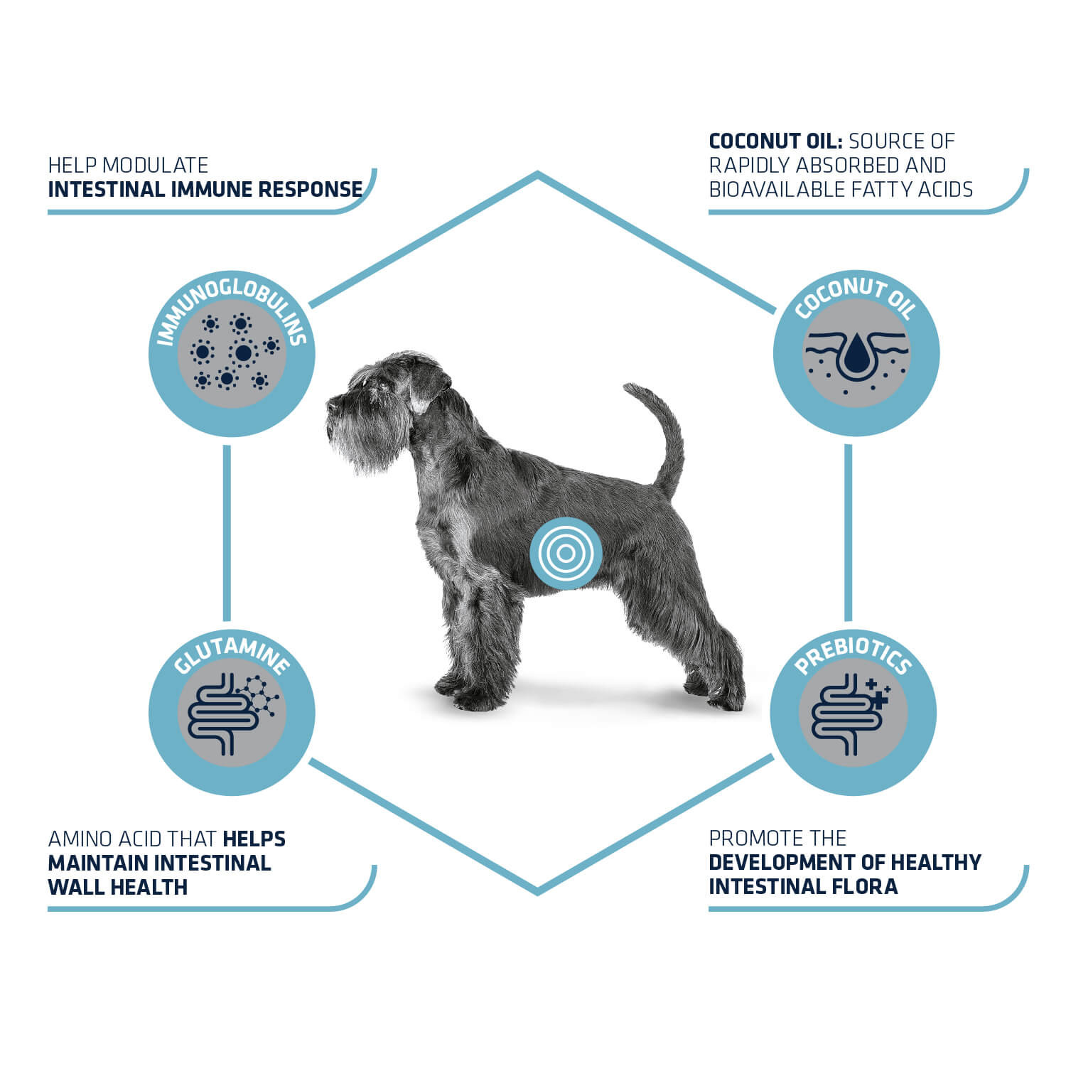 Advance Veterinary Diets Gastroenteric hondenvoer