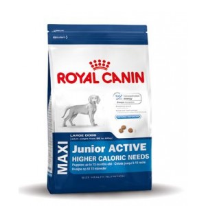 Royal Canin Maxi Junior Active hondenvoer 15 kg
