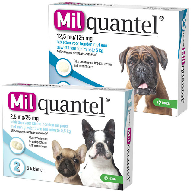 Milquantel tabletten voor de hond