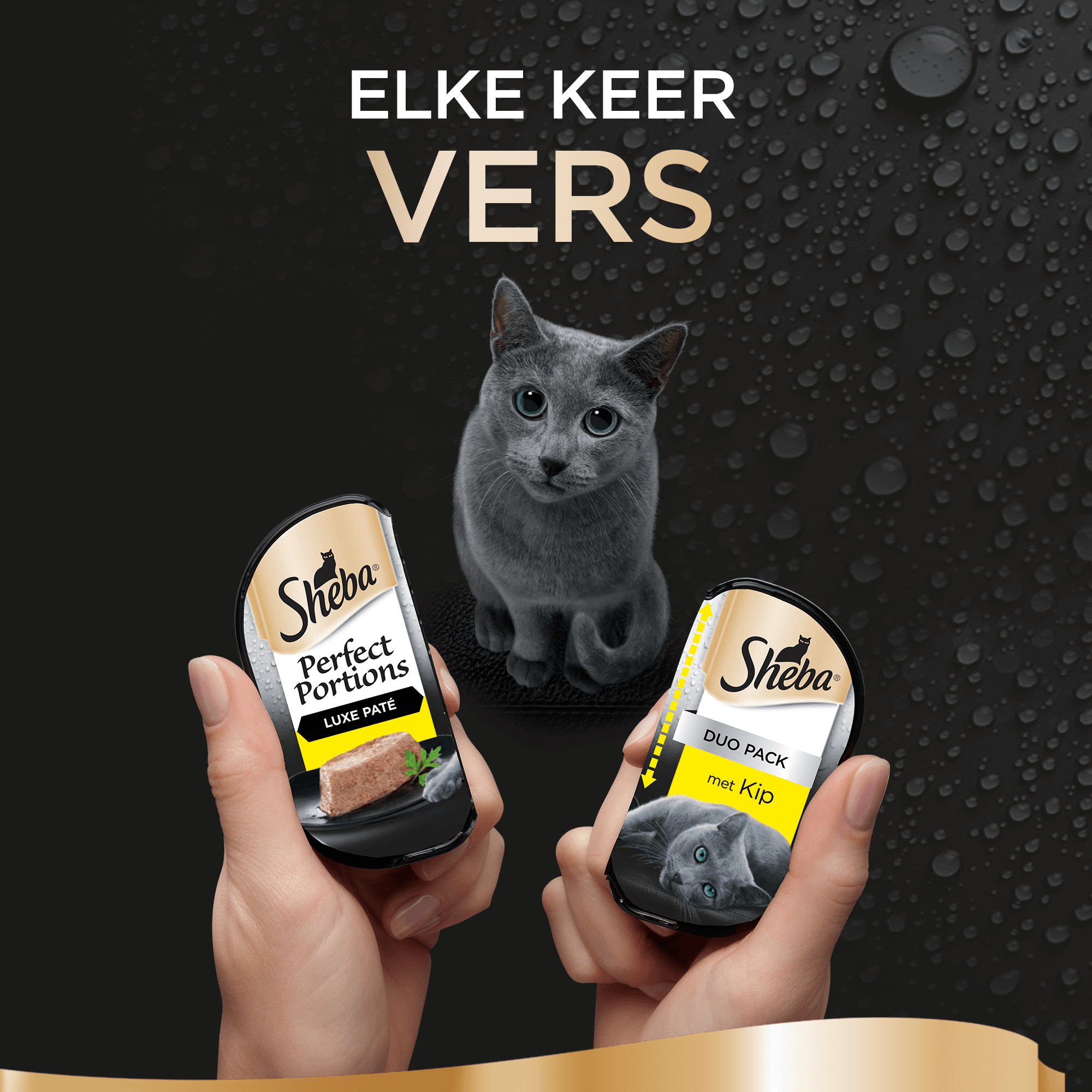 Sheba Perfect Portions Paté met Kip Kattenvoer