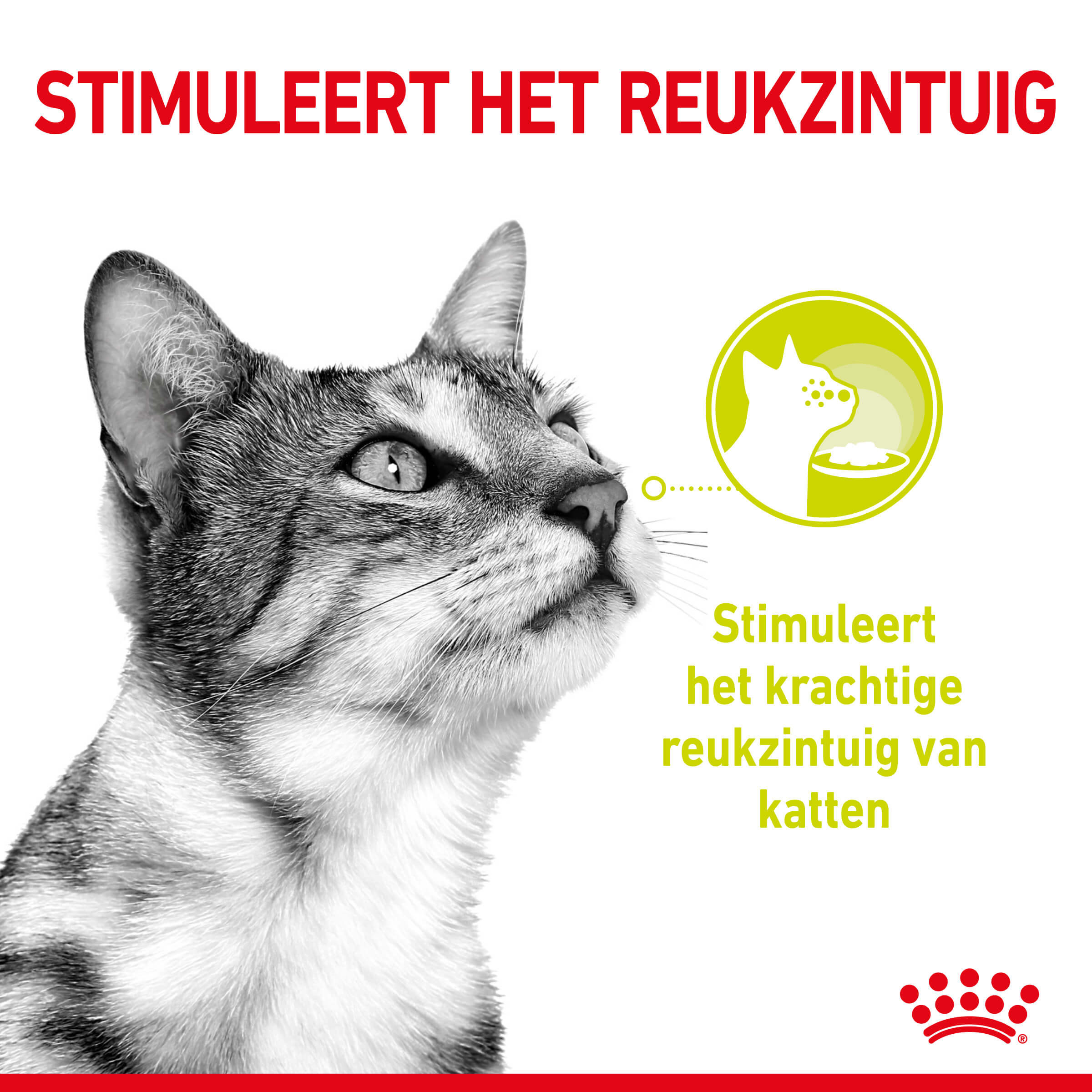 Royal Canin Sensory multipack kattenvoer