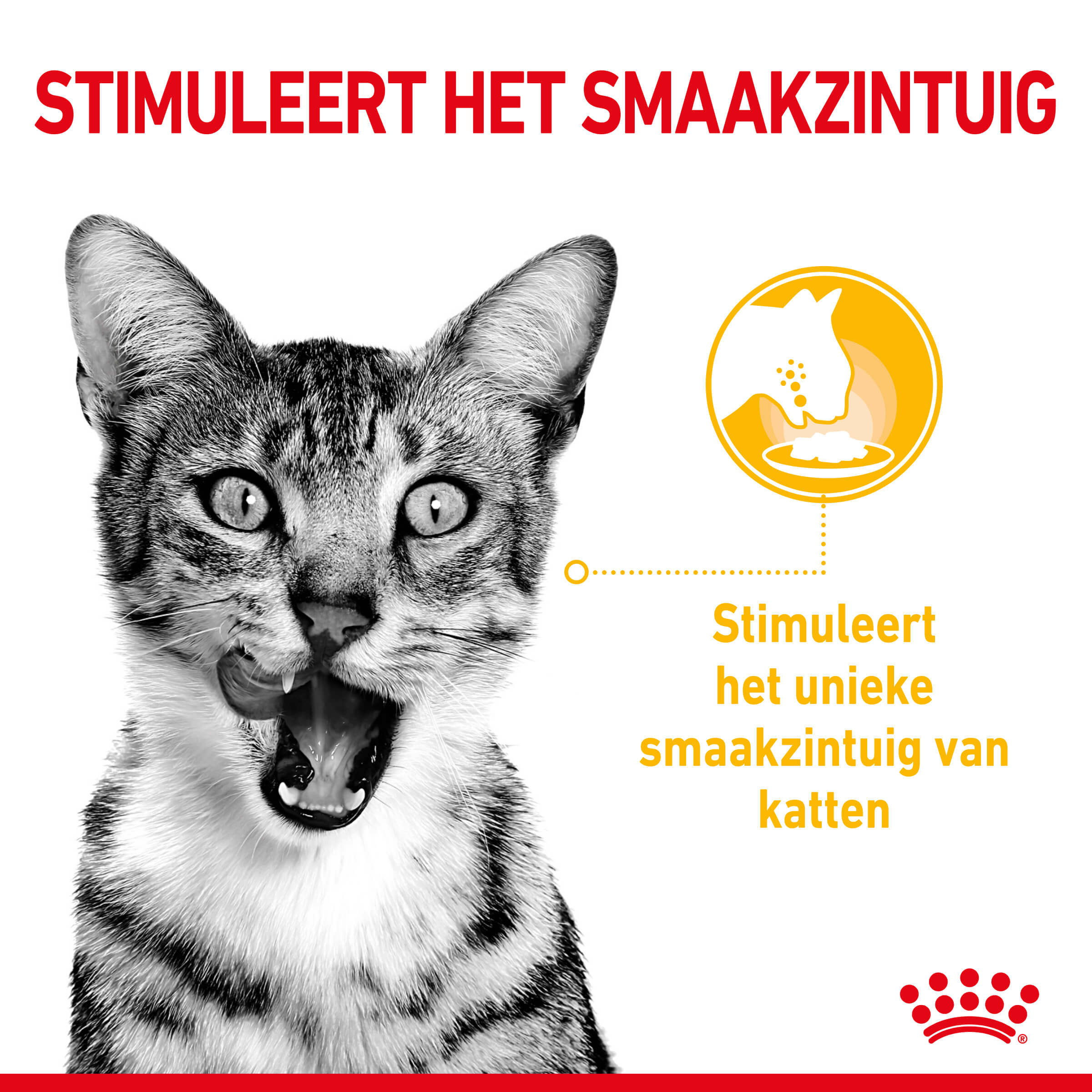 Royal Canin Sensory multipack kattenvoer