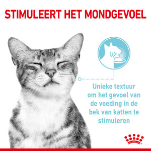 royal canin sensory multipack kattenvoer Royal Canin Sensory multipack kattenvoer