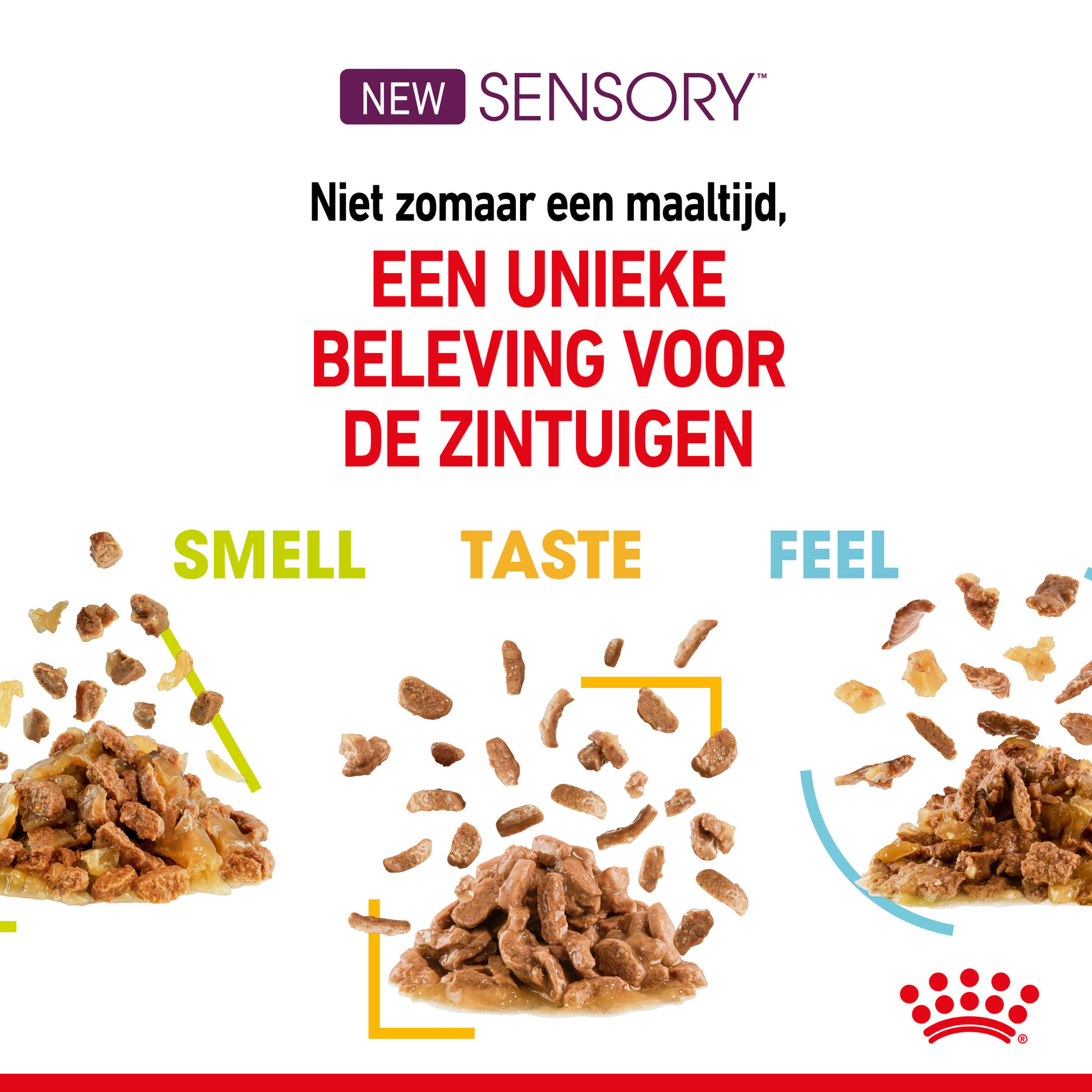 Royal Canin Sensory multipack kattenvoer