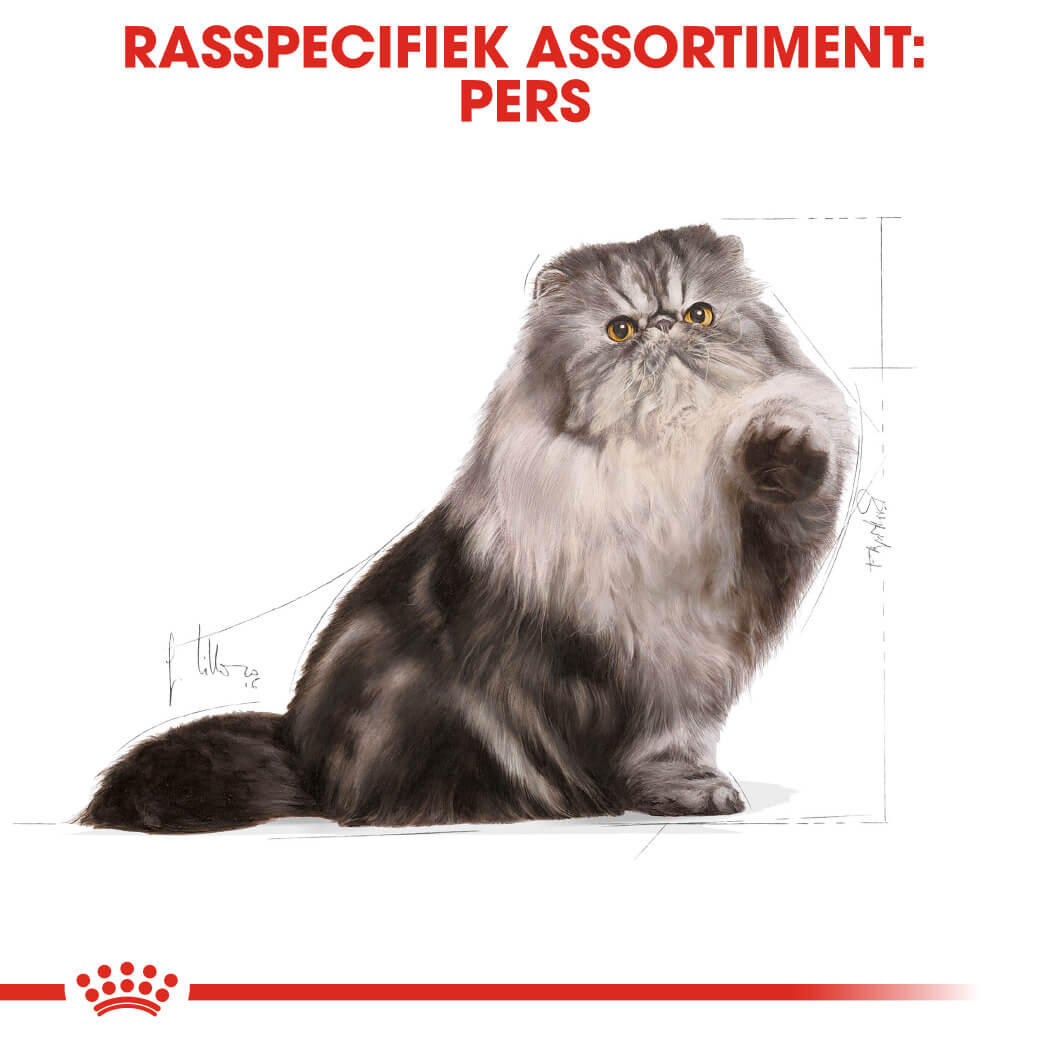 Royal Canin Adult Persian kattenvoer