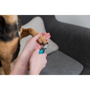 Nageltang klein voor de hond