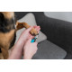 Nageltang klein voor de hond
