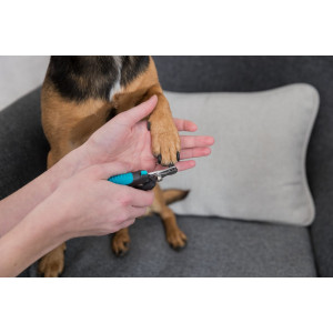 Nageltang klein voor de hond