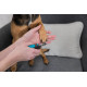 Nageltang klein voor de hond