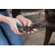 Nagelschaar groot voor de hond