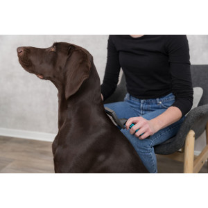 Slickerborstel Groot voor de hond