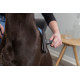 Slickerborstel Groot voor de hond