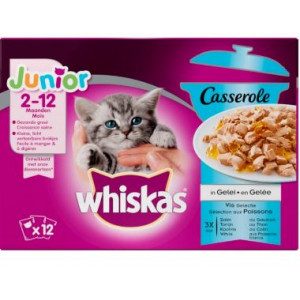 Whiskas Casserole Junior - Kattenvoer - Vis Gelei 12x85 g
