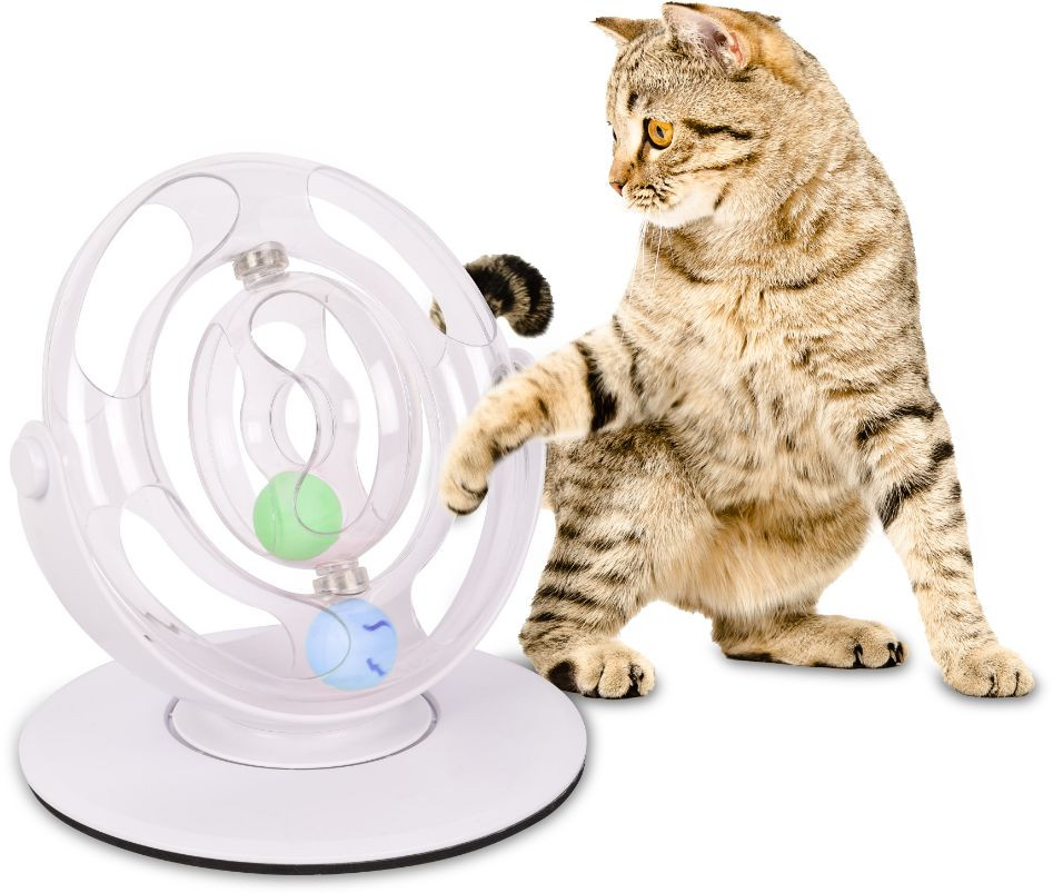 Kattenspeelgoed Dita roterend wiel | bezorgd |