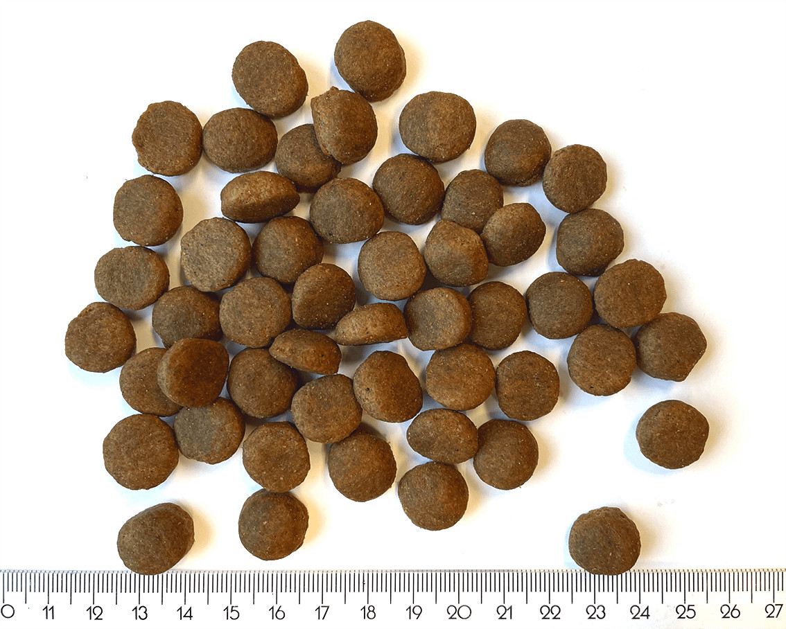 Seberus Dried Insects  –  natuurlijk graanvrij hondenvoer
