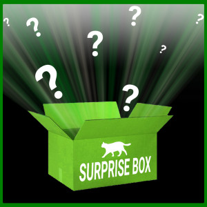 Afbeelding Brekz Surprise Box Limited Edition voor katten Per stuk door Brekz.nl