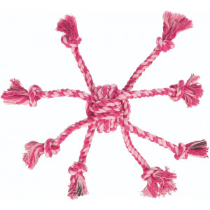Octopus new2022