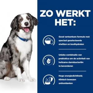 Hill's Prescription I/D (i/d) Sensitive Digestive Care ei & rijst hondenvoer