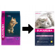 Eukanuba Kitten kip kattenvoer