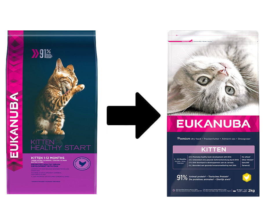 Eukanuba Kitten kip kattenvoer