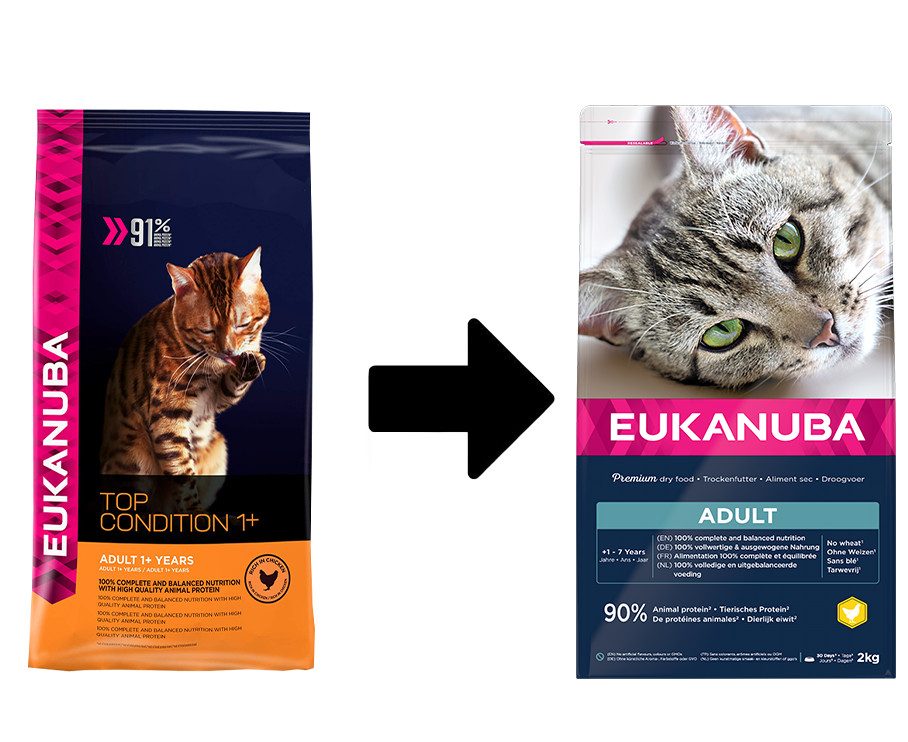Eukanuba Adult kip kattenvoer