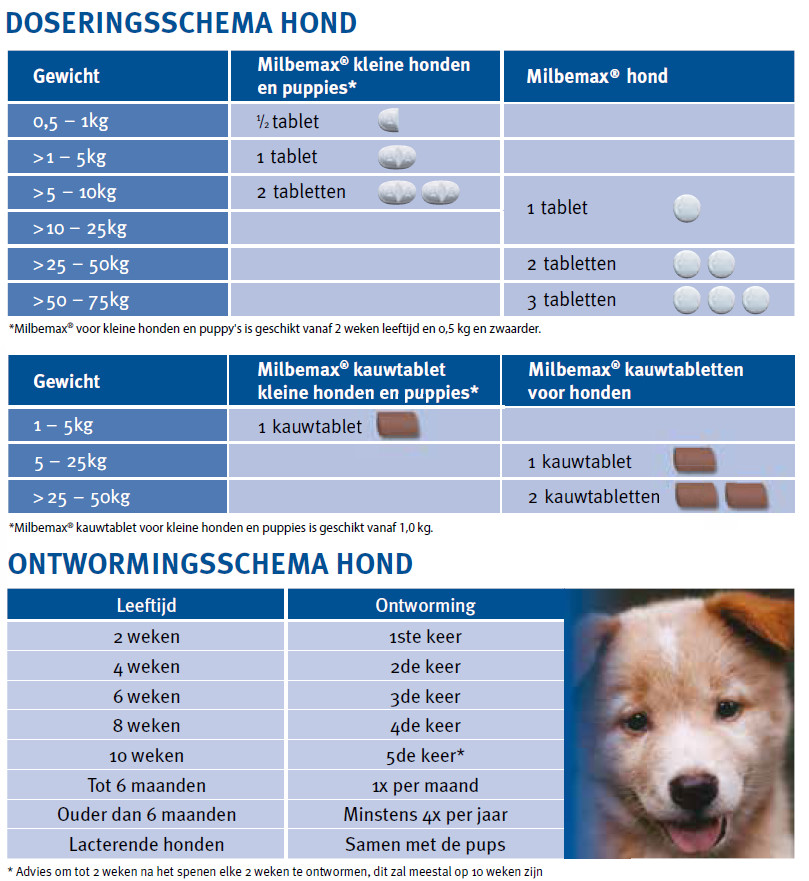 Verzorgen Nationaal Illustreren Milbemax Ontworming voor Kleine honden en puppies