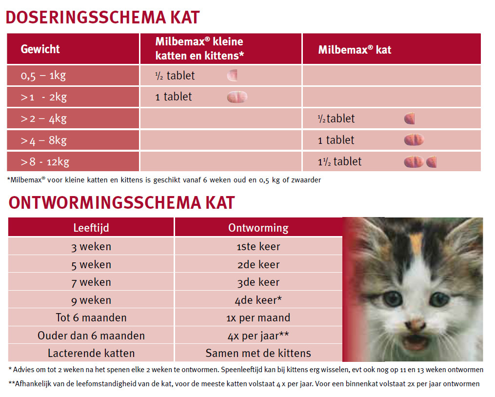 Vier stereo Bezighouden Milbemax Ontworming voor Kleine katten en kittens