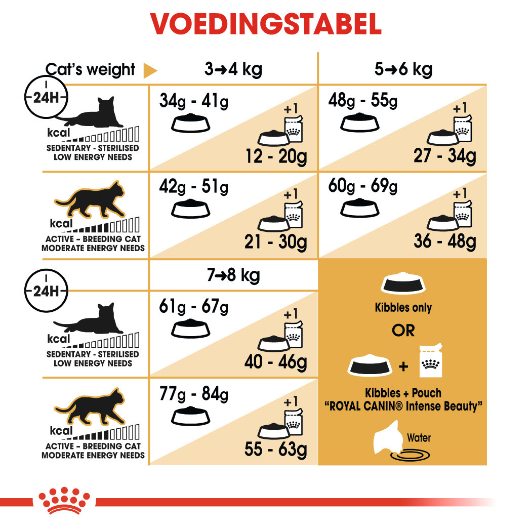 Royal Canin Adult Bengal kattenvoer