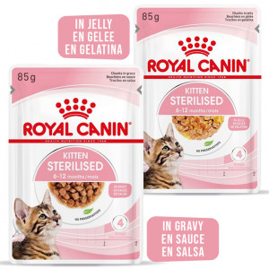 Royal Canin Kitten Sterilised natvoer kat 85g 12 x 85 gr Jelly