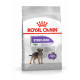 Royal Canin Mini Sterilised hondenvoer