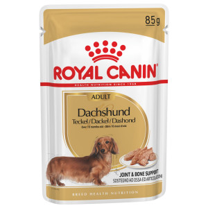 Royal Canin Teckel/Dachshund Adult natvoer 12 zakjes