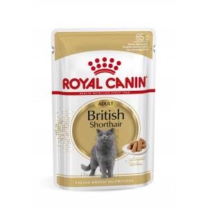 Afbeelding Royal Canin British Shorthair Adult Pouch 12 zakjes door Brekz.nl