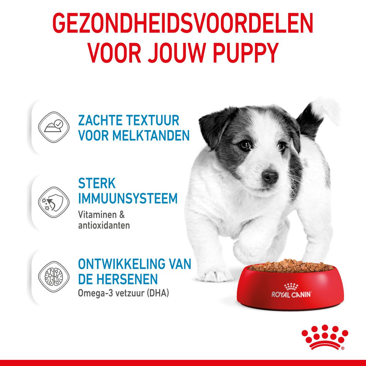 Royal Canin Mini Puppy natvoer