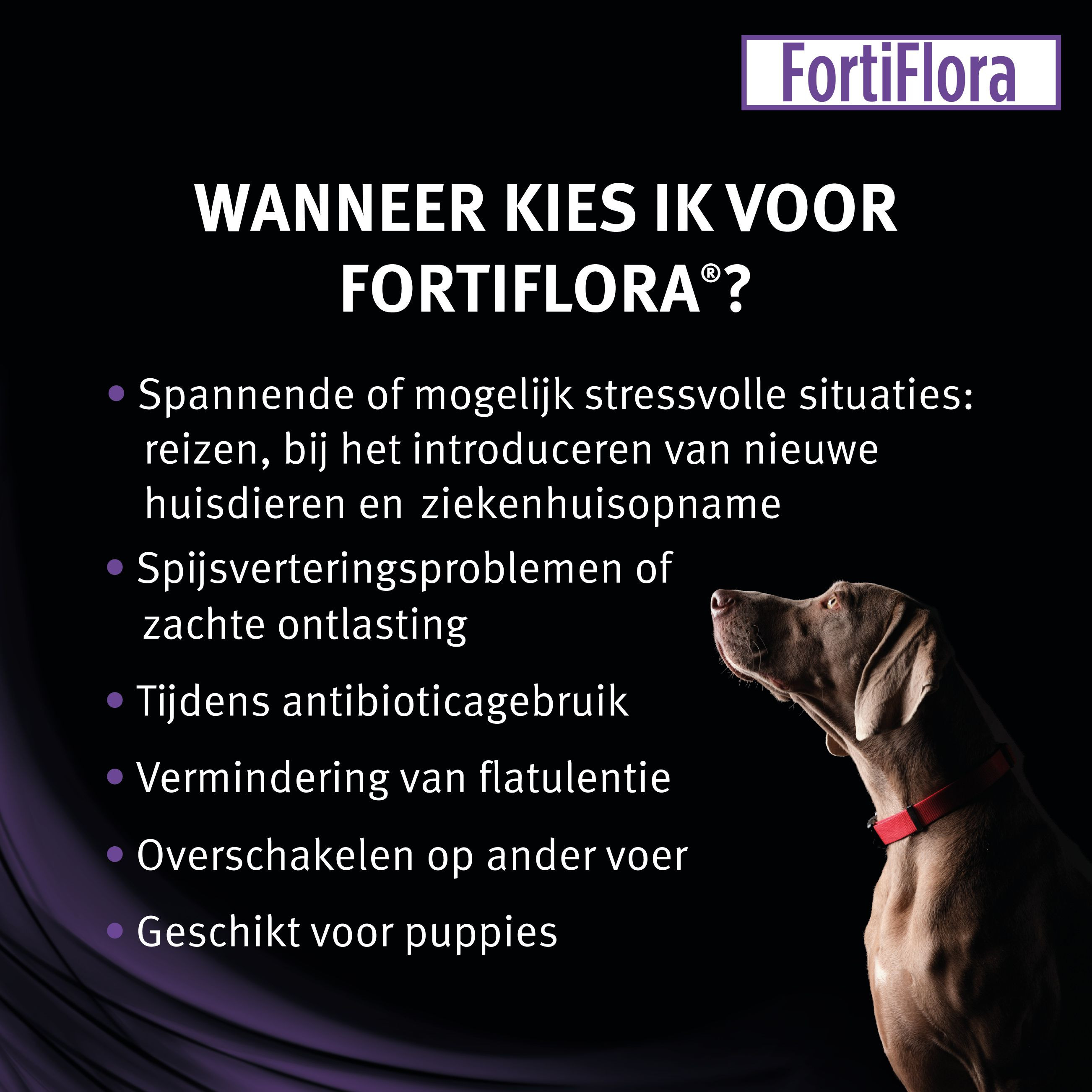 Purina Pro Plan FortiFlora Canine Probiotic supplement hond