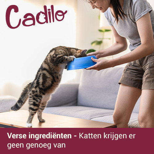 Cadilo Adult Grainfree w/Fresh Chicken - premium kattenvoer